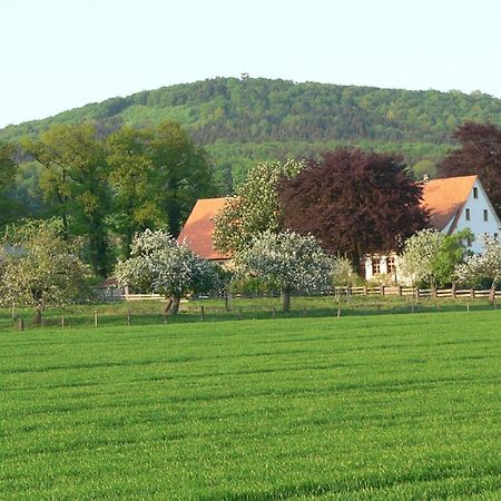 Ferienwohnung An Der Obstwiese Borgholzhausen 외부 사진