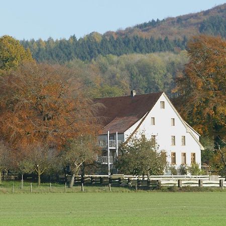 Ferienwohnung An Der Obstwiese Borgholzhausen 외부 사진