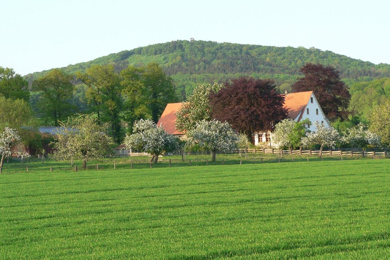 Ferienwohnung An Der Obstwiese Borgholzhausen 외부 사진
