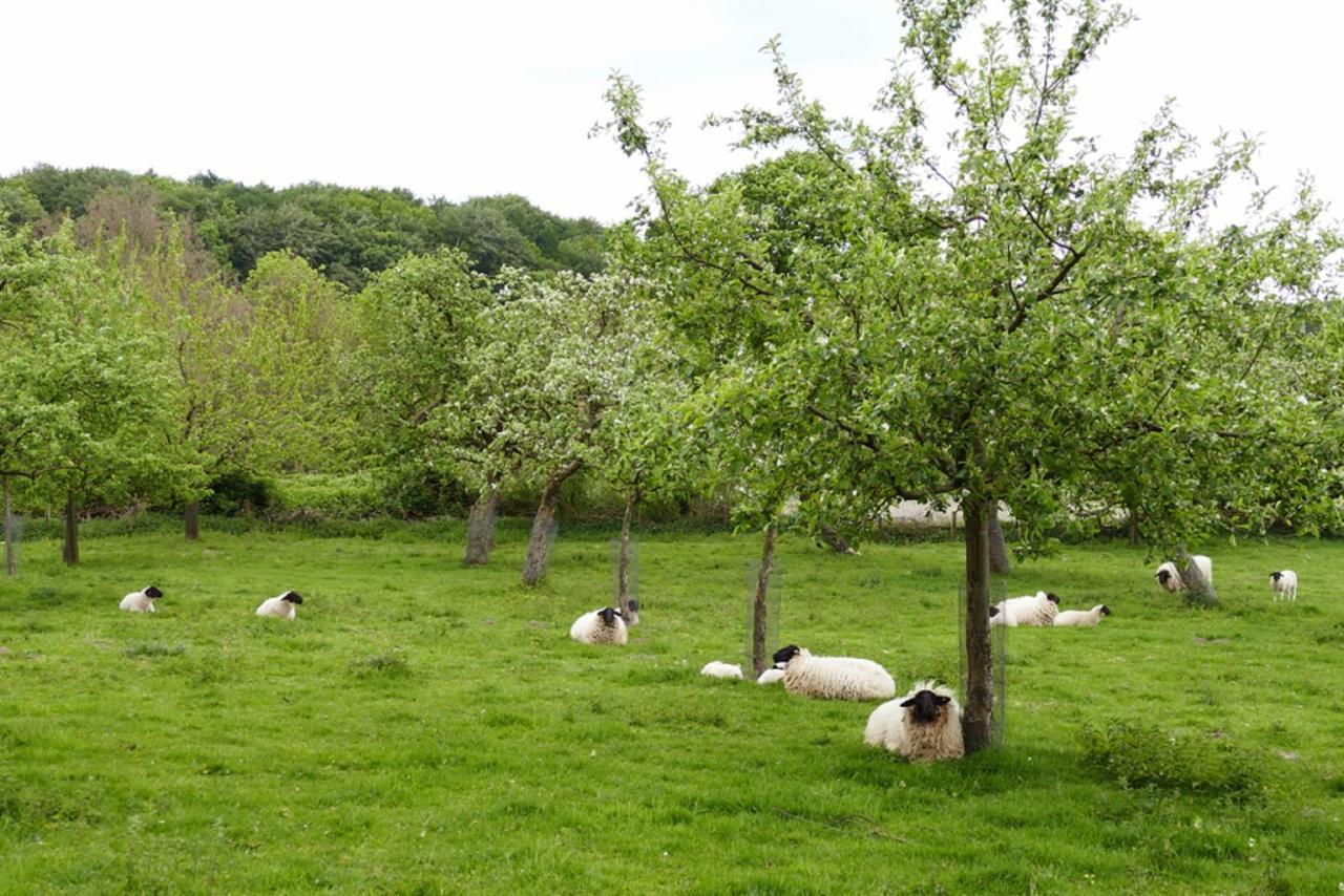 Ferienwohnung An Der Obstwiese Borgholzhausen 외부 사진