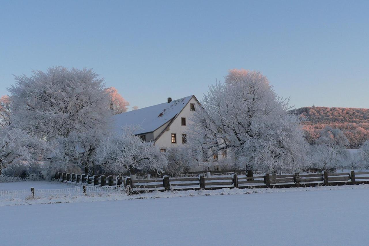Ferienwohnung An Der Obstwiese Borgholzhausen 외부 사진